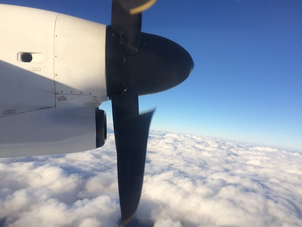 ANAウイングス運航の小型機材も楽しめる松山空港の魅力