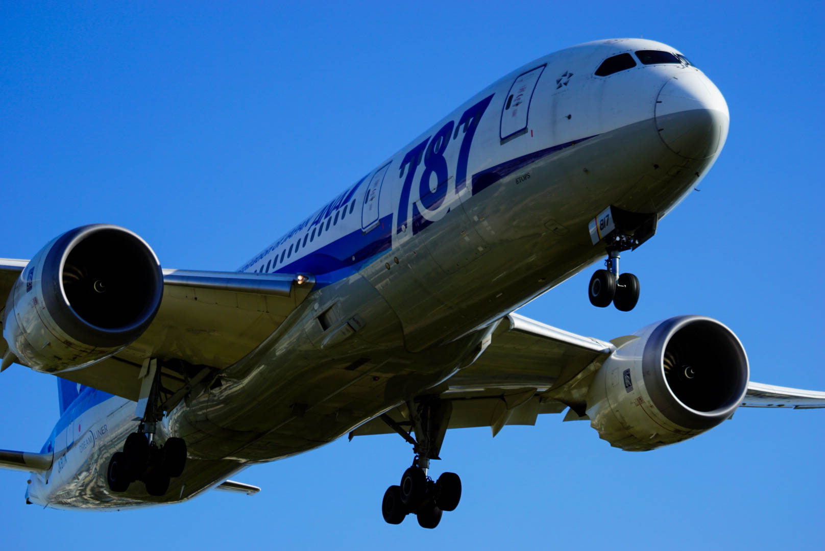 ANA SKY コインのすべて｜獲得方法やメリットから注意点まで解説 | ANAマイルを貯めた猫